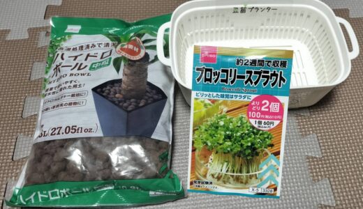 ダイソーの商品で水耕栽培やってみた【ハイドロボール、豆苗プランター、しそ】